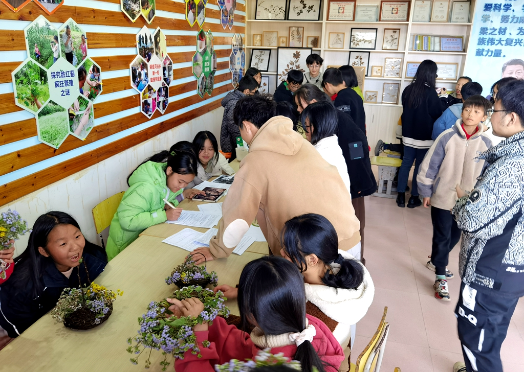 河伯中学：探索多彩大自然，科学之光闪耀校园