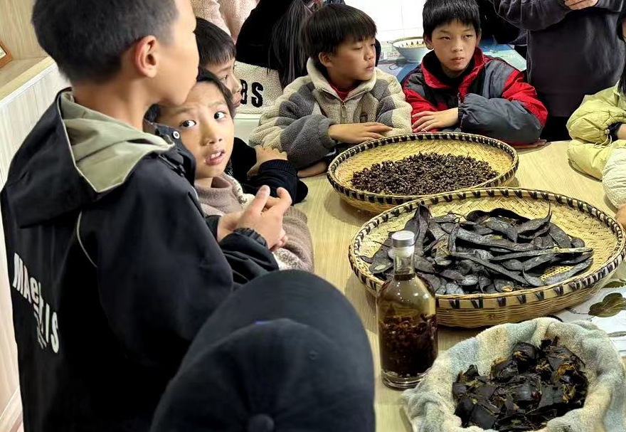 河伯中学：探索多彩大自然，科学之光闪耀校园