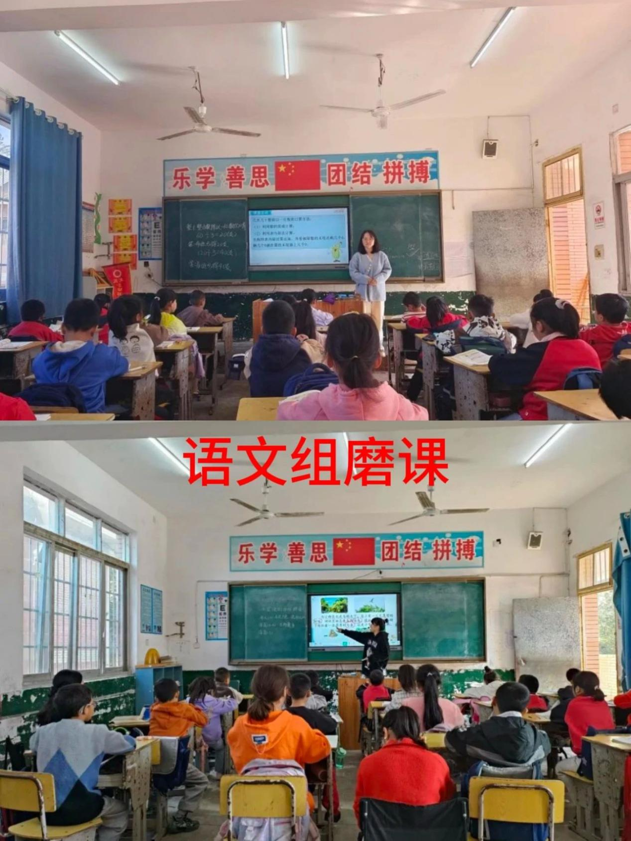 课标引航，共研成长