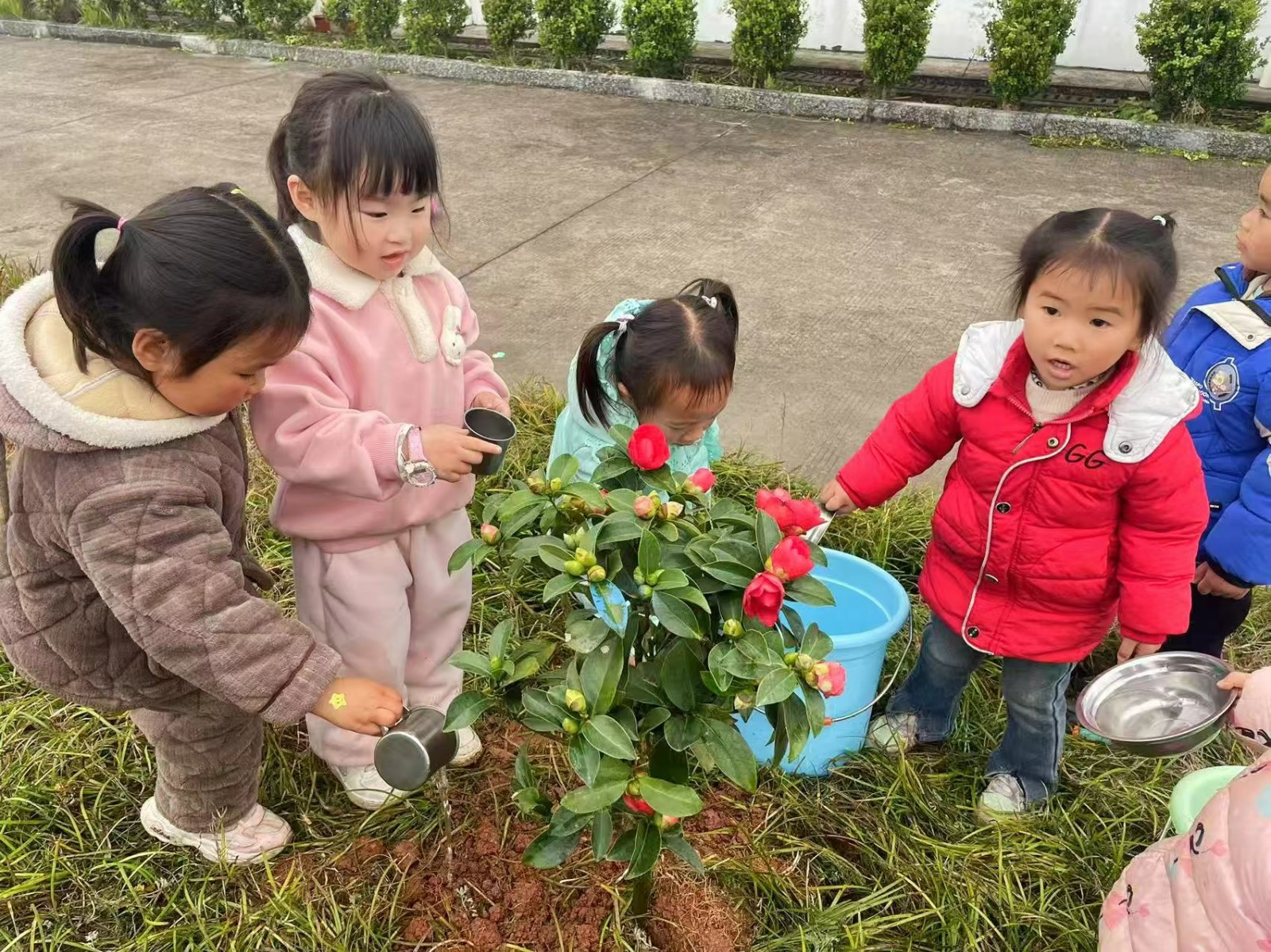 小手护绿意，童心爱自然