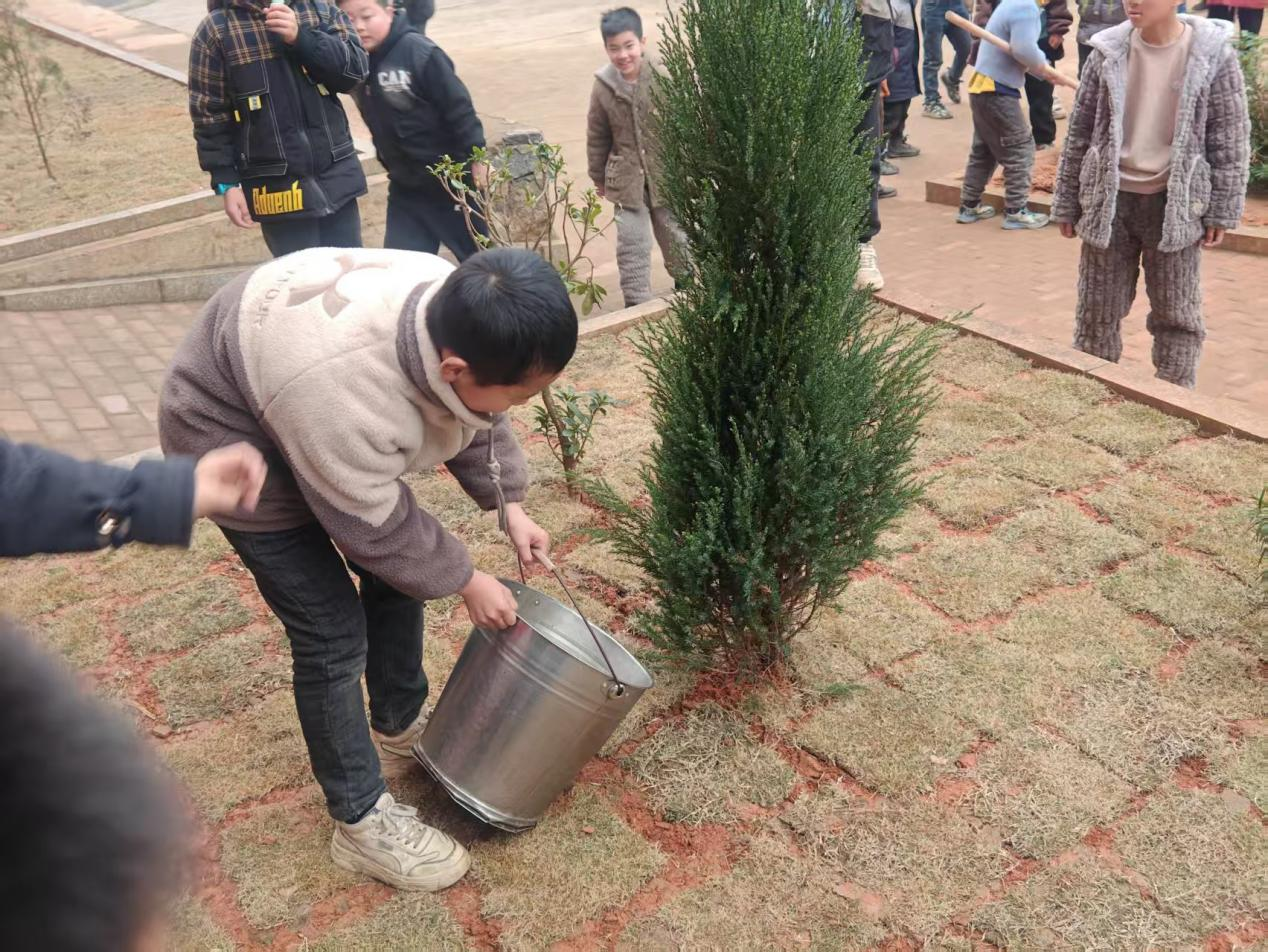 “共植共青林，同筑青春梦”学雷锋植树实践