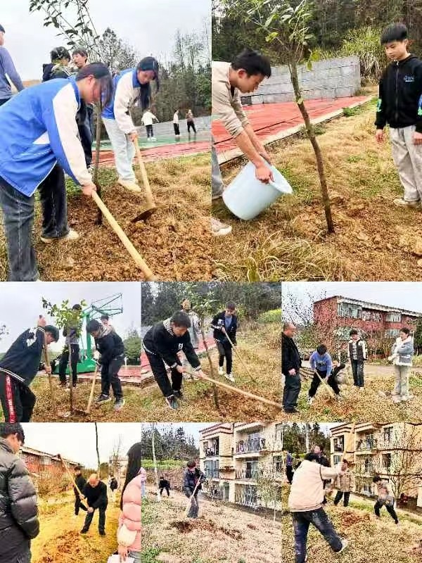        蔡桥中学开展“学雷锋·植树护绿”活动