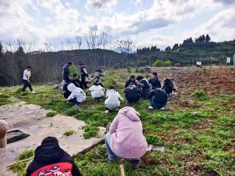 万塘乡中心学校开展拔草施肥活动