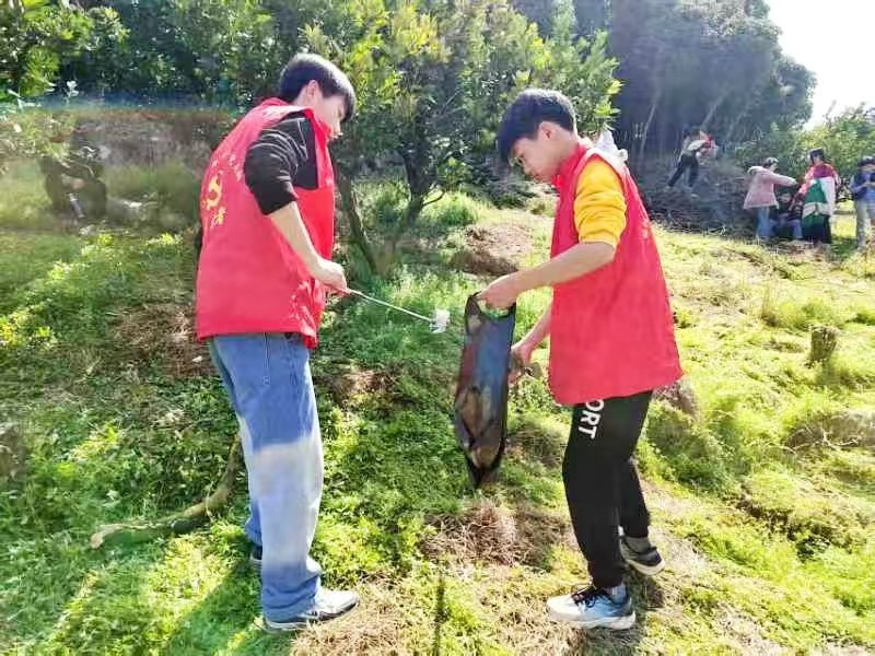 春日践行雷锋志   暖行不负好时光