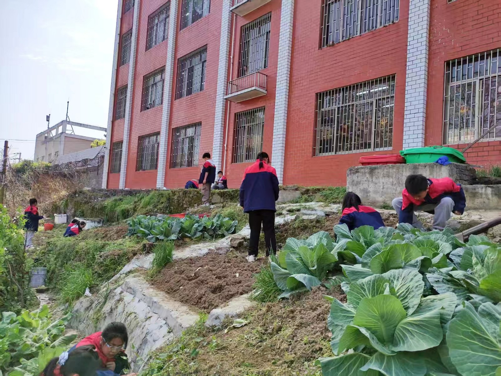 劳育德馨，净绘春晖