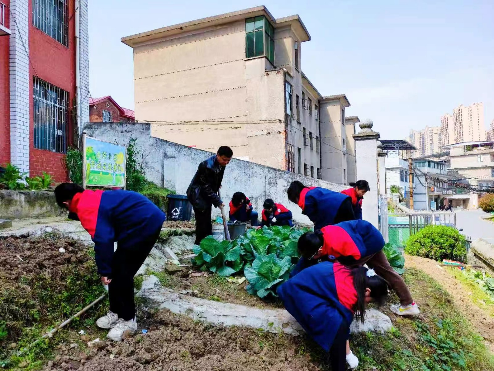 劳育德馨，净绘春晖