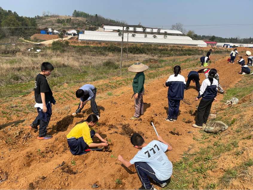 携手共筑劳动梦，实践砥砺青春行