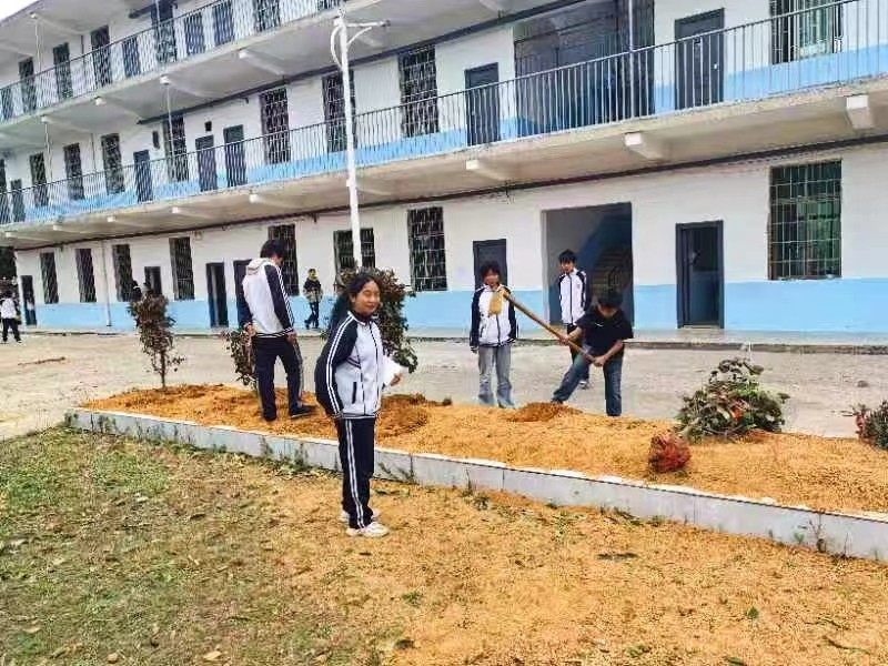 爱心植树添新绿 校园绿化谱新篇