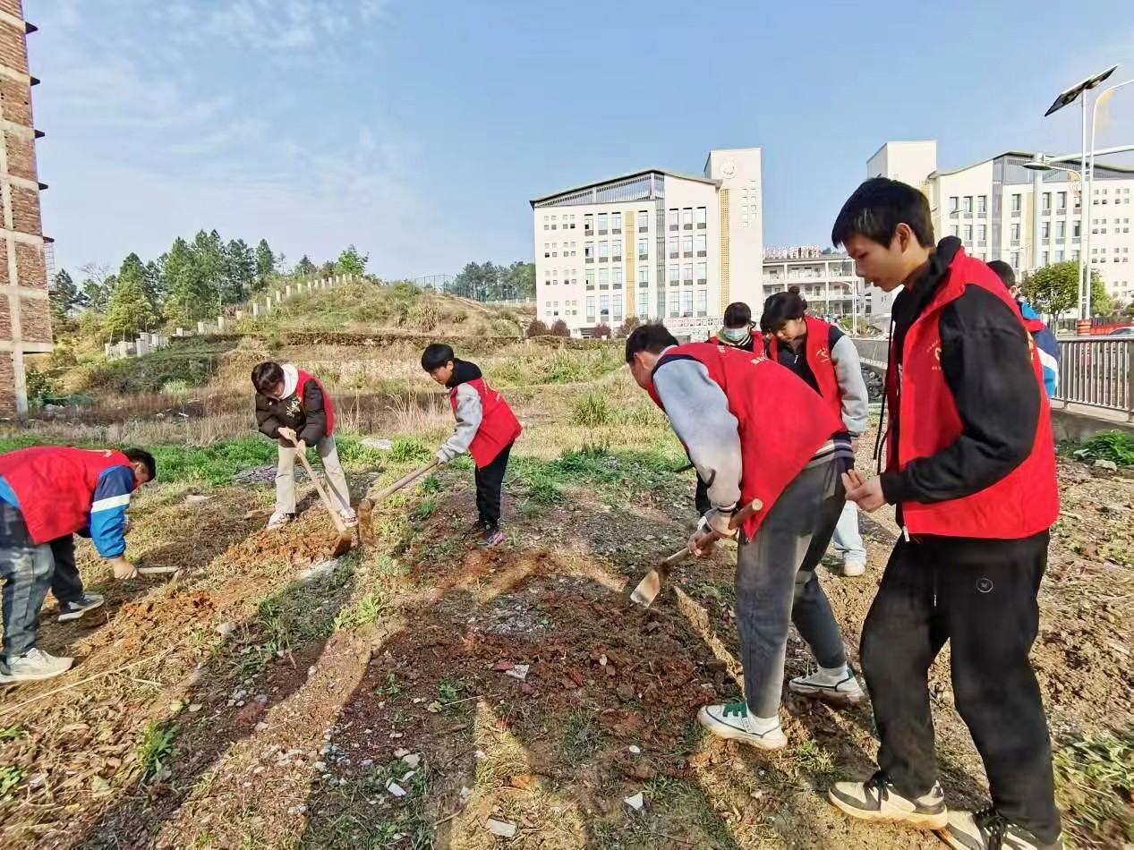 白仓镇芙蓉学校 开展“缤纷大丽花 劳动绘家园”志愿种植活动 学生巧手扮靓校门口
