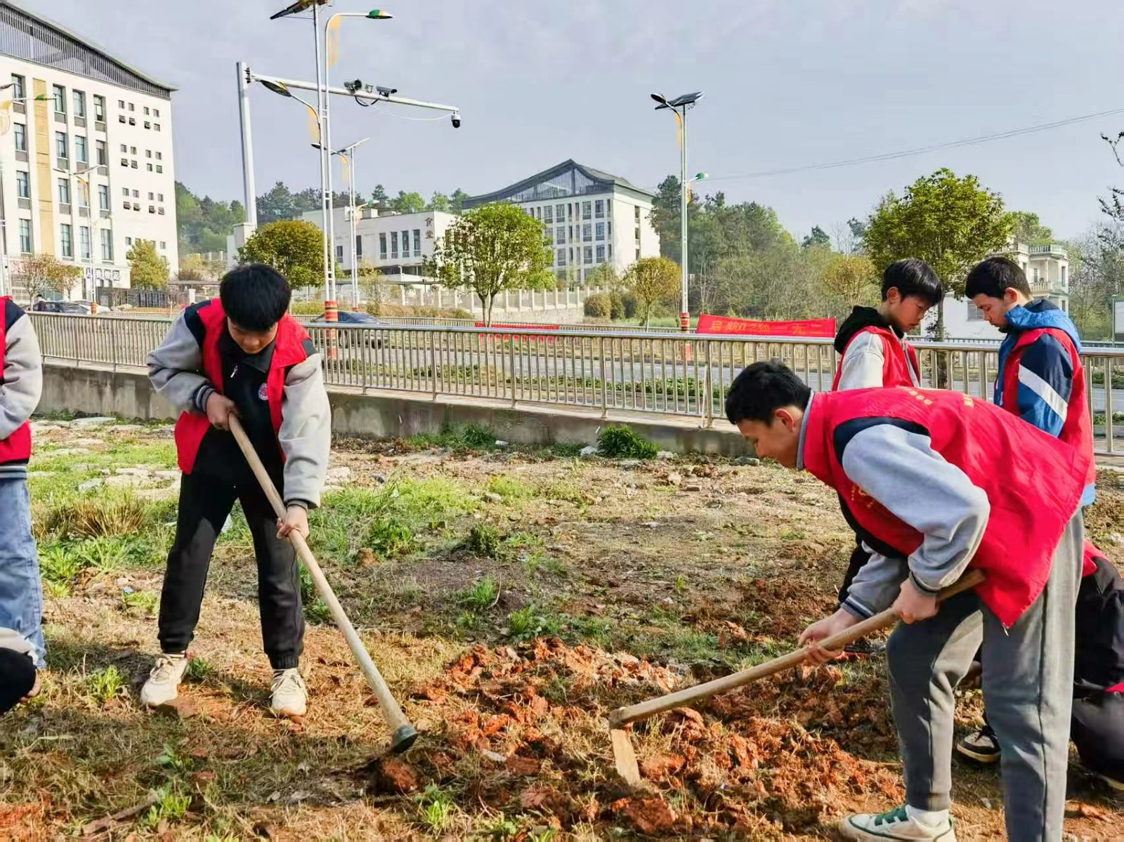 白仓镇芙蓉学校 开展“缤纷大丽花 劳动绘家园”志愿种植活动 学生巧手扮靓校门口