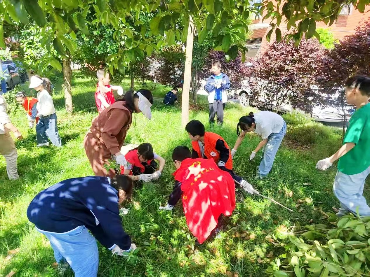 小手牵大手 清洁家园齐动手