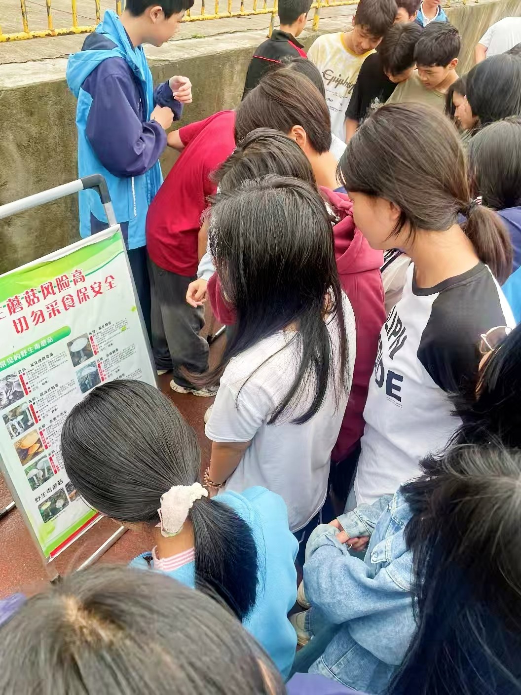 筑牢校园安全防线 守护学生健康成长