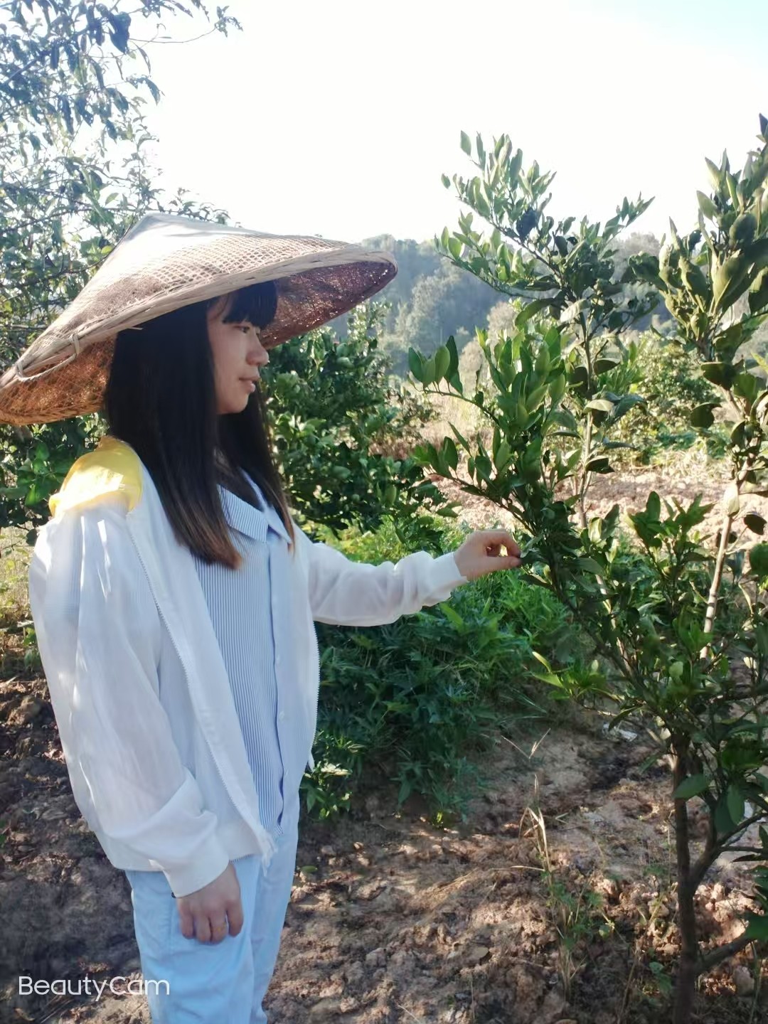 唐情：乡村振兴浪潮中的“领头雁”