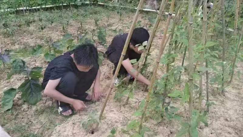 文体之花竞绽放，课后服务结硕果