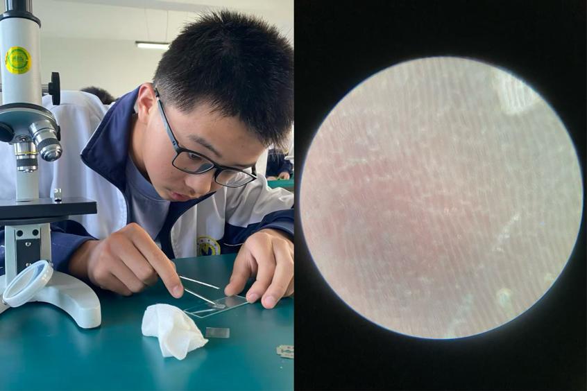 科学实践展风采  实验操作促成长