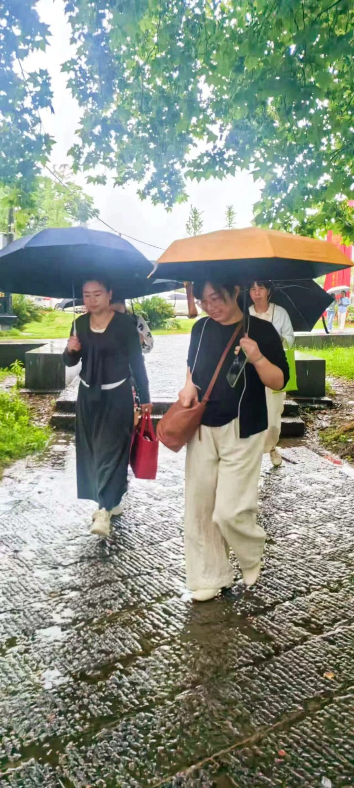 雨中的心灵之约：记一场风雨无阻的心理健康培训