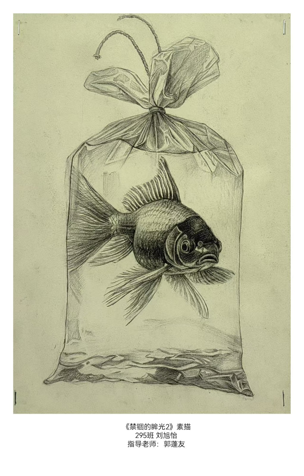 绘梦青春，艺韵校园