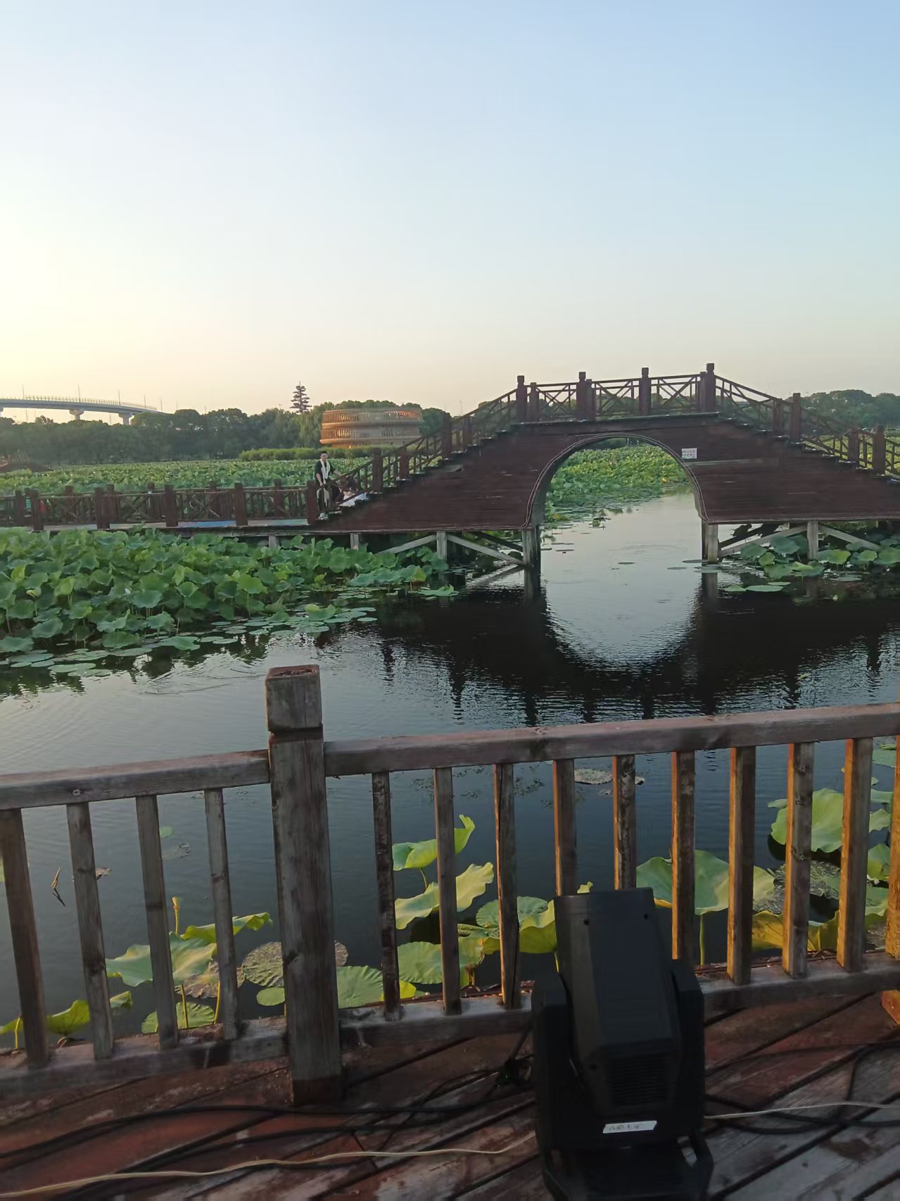 游苏州荷塘月色