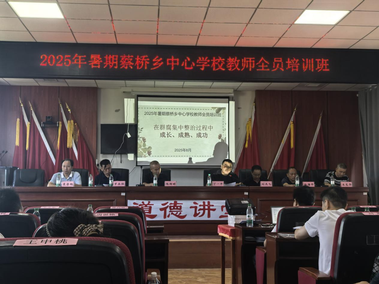 2025年暑期蔡桥乡中心学校教师全员培训活动