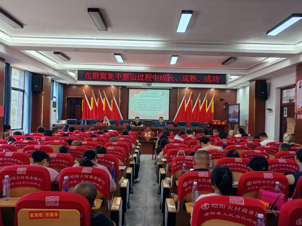 奋发有为  提质增效   推动乡镇教育高质量发展