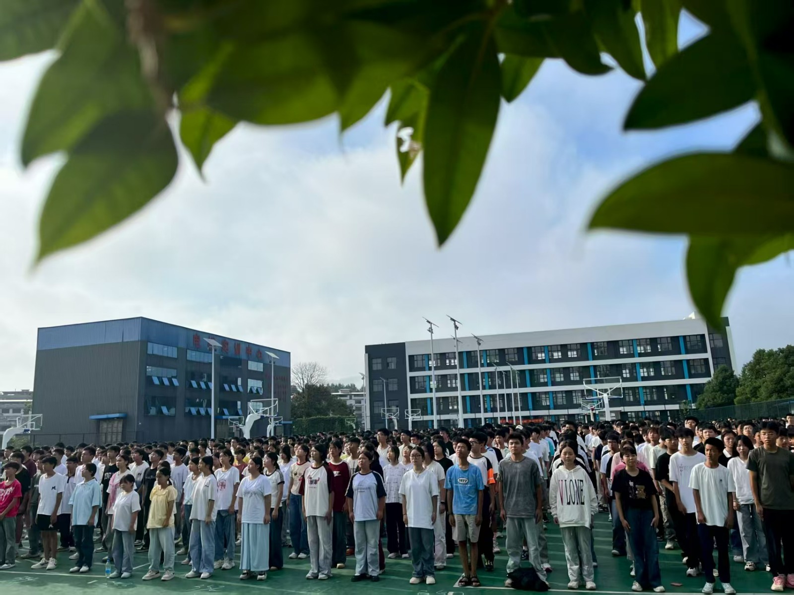 秋韵迎新，筑梦启航