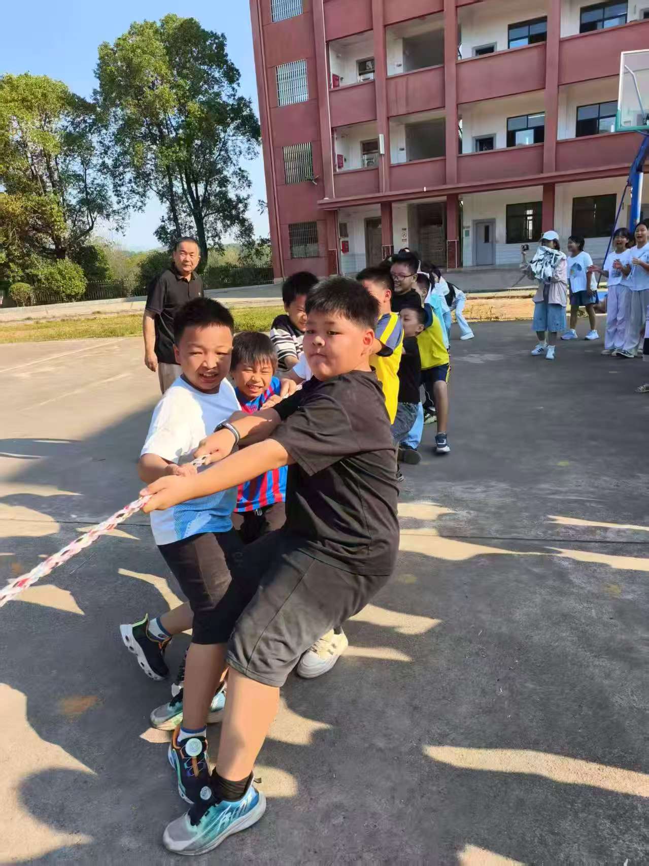 力拔山兮气盖世，团结之花绽校园