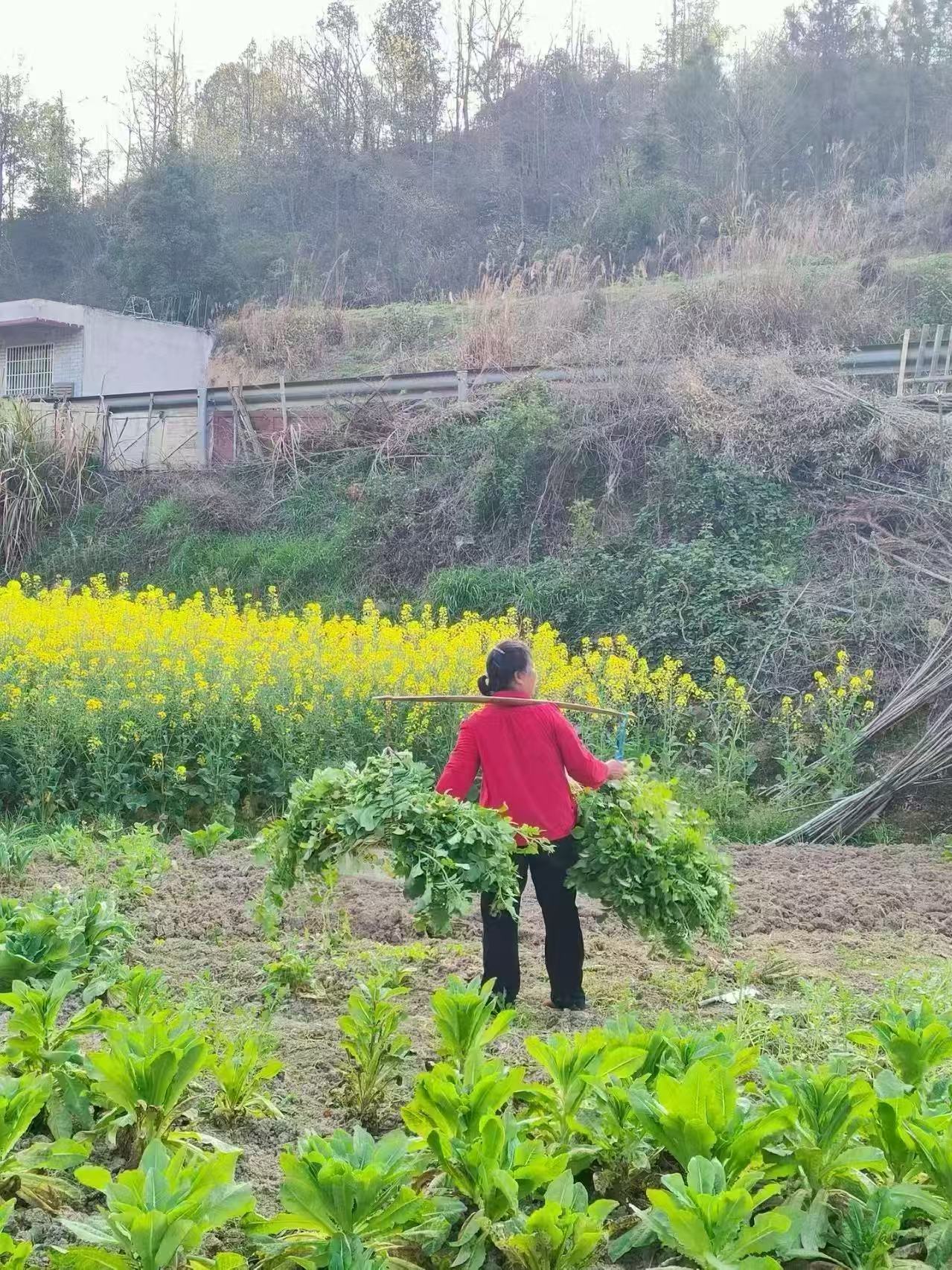 续书香，悟平凡，点青春
