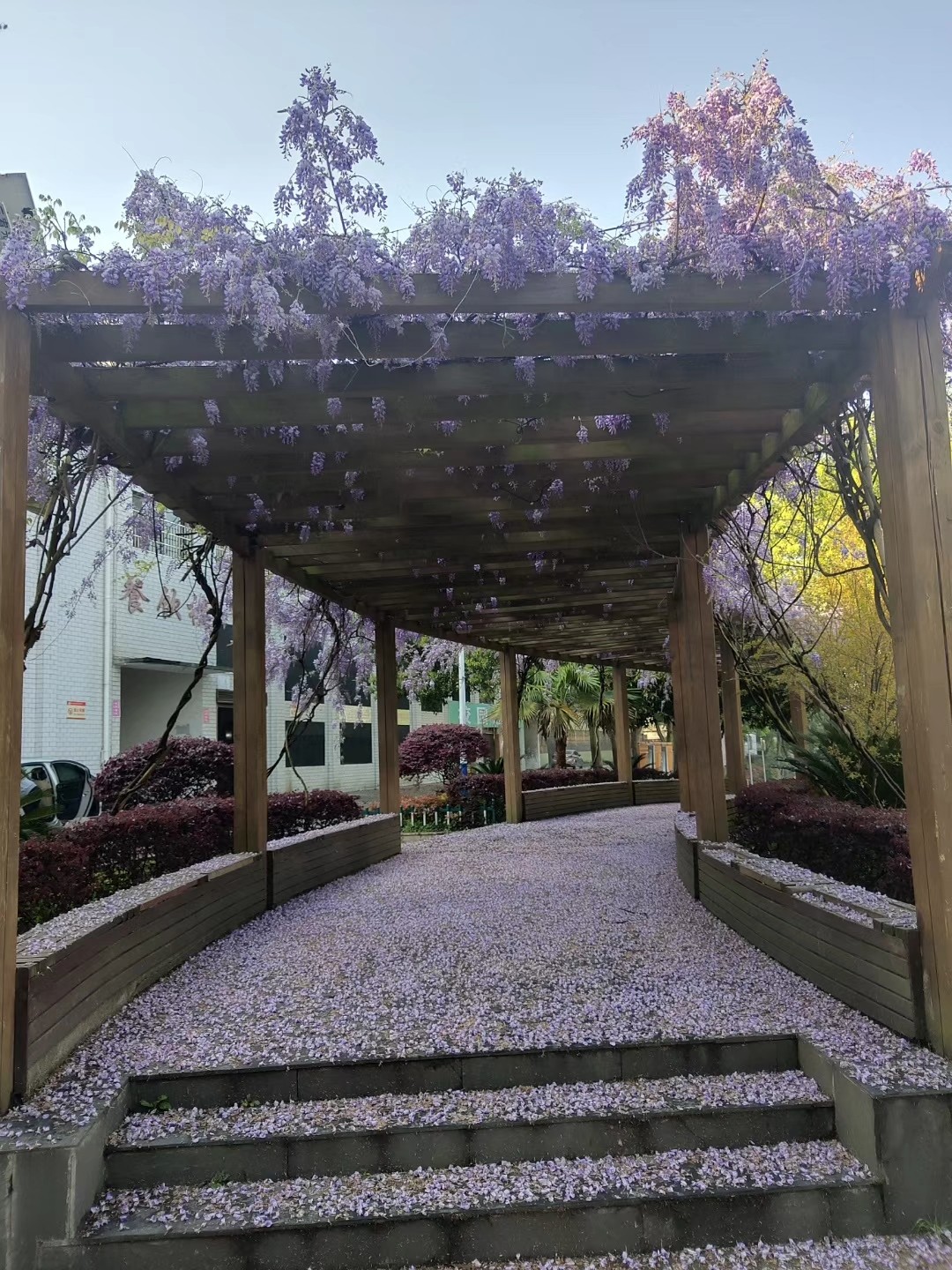 何妨落叶舞秋魂