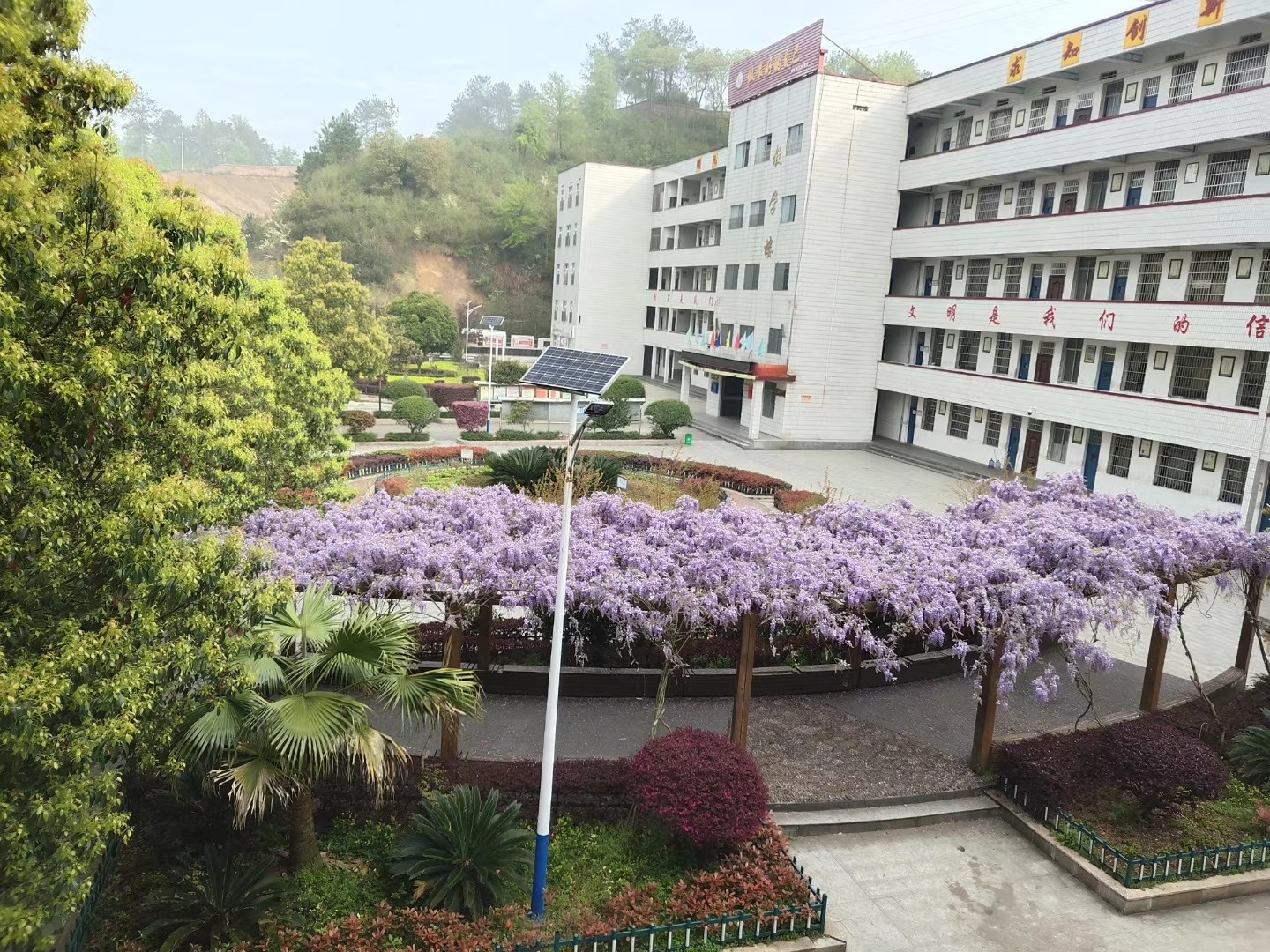 何妨落叶舞秋魂