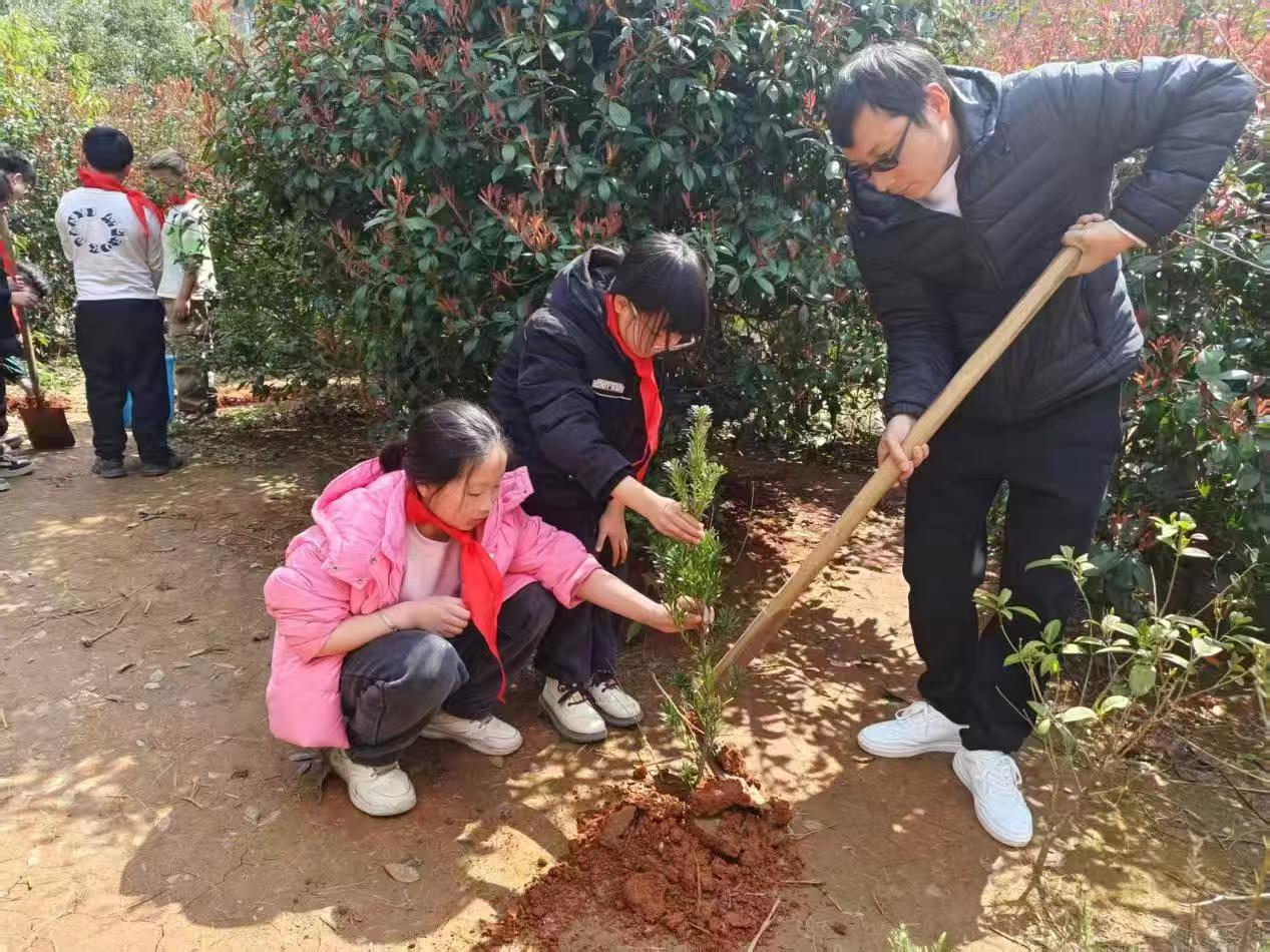 下花桥镇中心完全小学开展“共植共青林，共筑青春梦”学雷锋植树实践活动