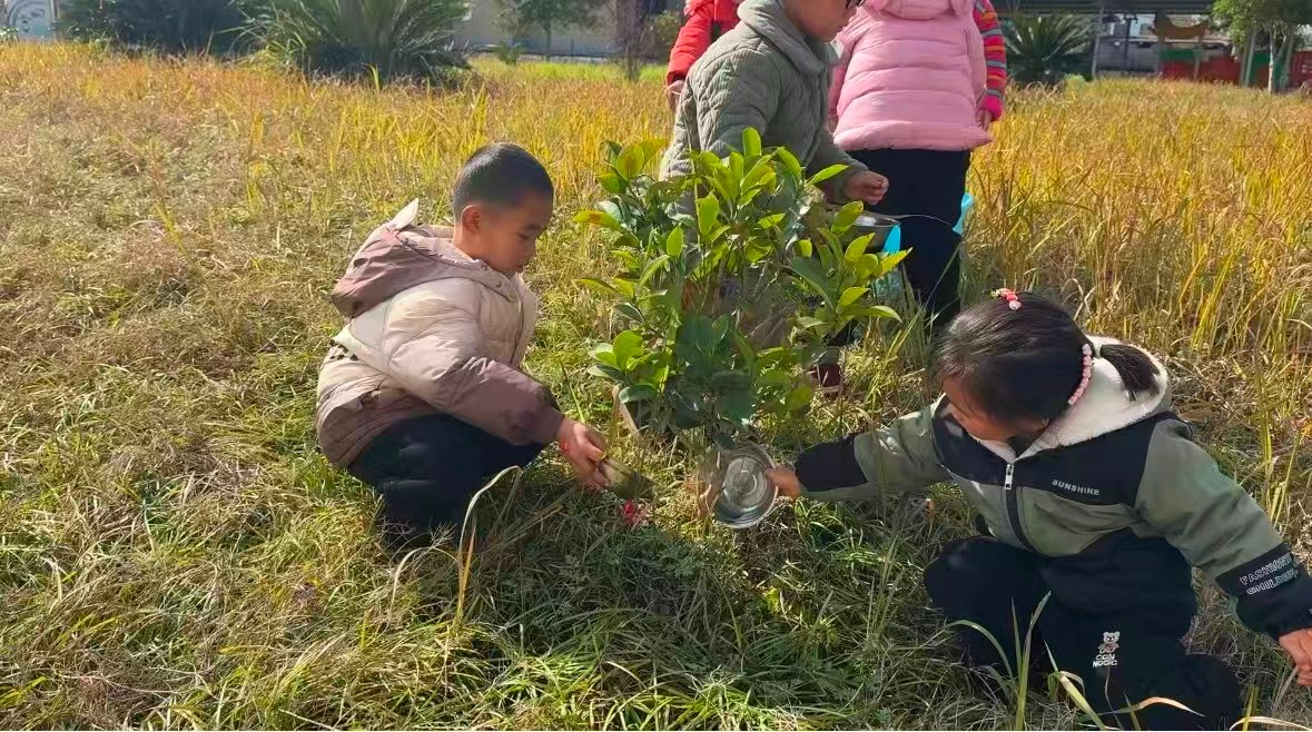 小手添新绿 童心护春光