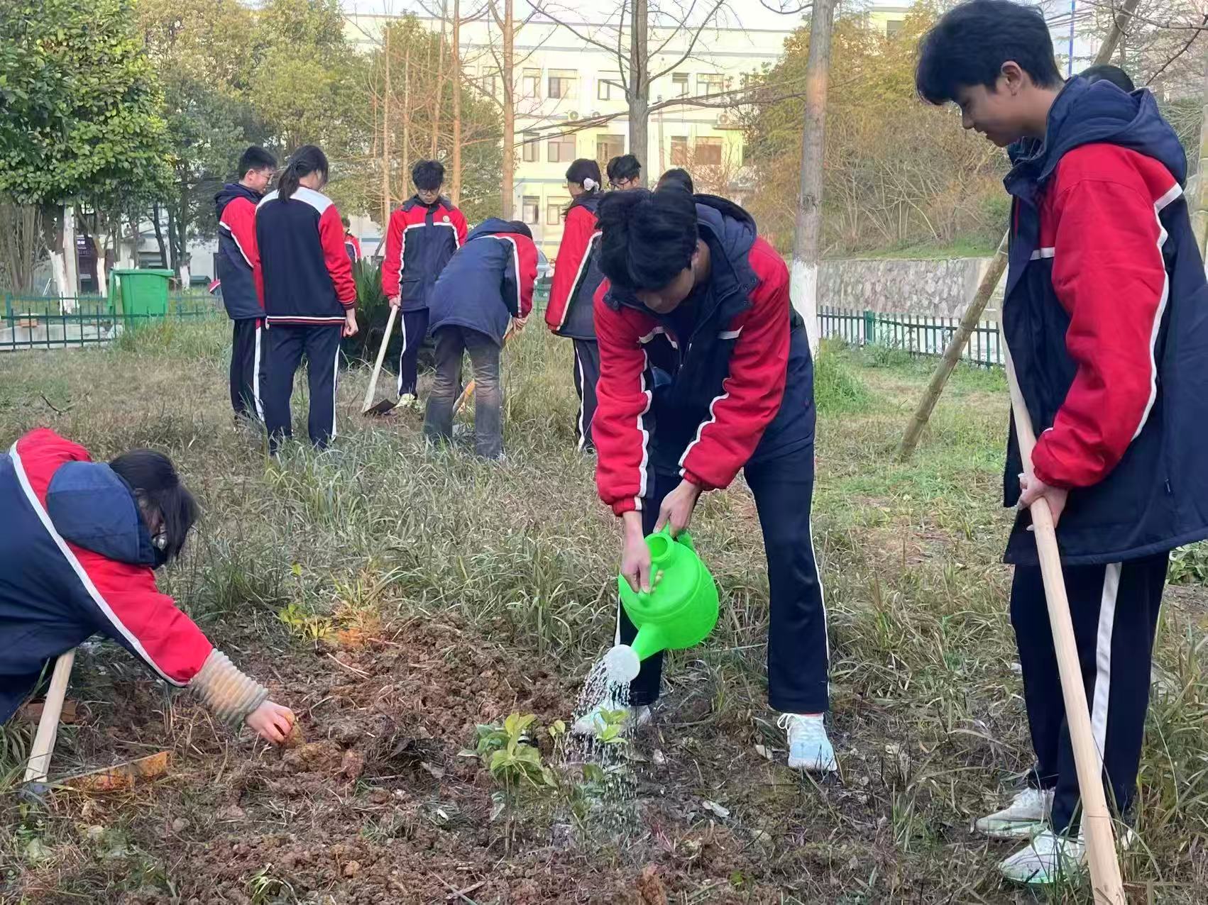 耕耘树语，绿动青春