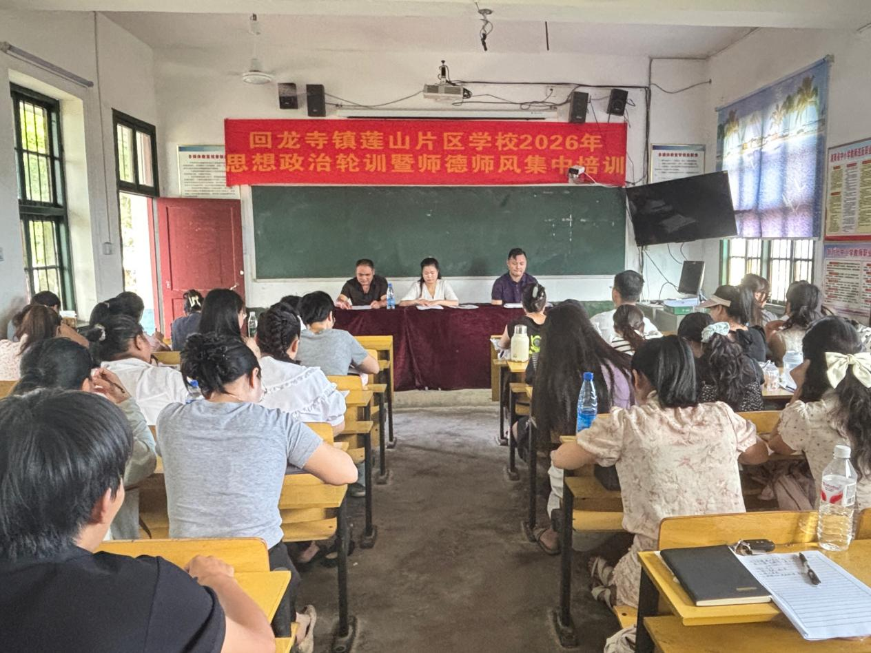 回龙寺镇莲山片区组织开展思政轮训暨师德师风集中培训活动